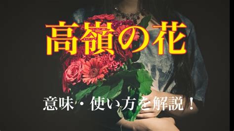 高嶺の花とはどんな人|高嶺の花とはどんな意味？「高嶺の花」と言われる女。